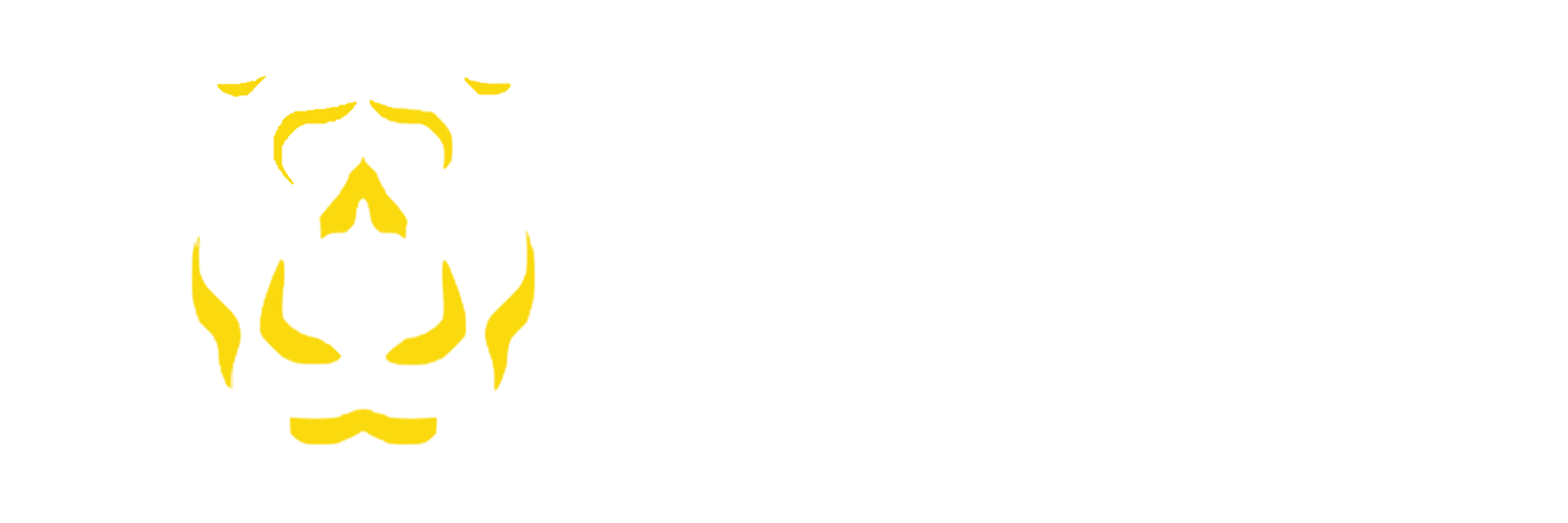 101tiger slot Logo